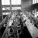 souvenirs en noir et blanc (728)